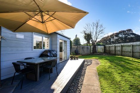 Photo of property in 17 Exeter Street, Glenview, Hamilton, 3206