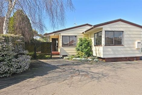 Photo of property in 8a Bedford Place, Mount Maunganui, 3116