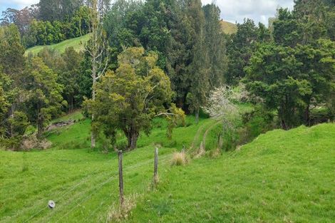 Photo of property in 246 Te Tio Road, Umawera, Okaihau, 0476