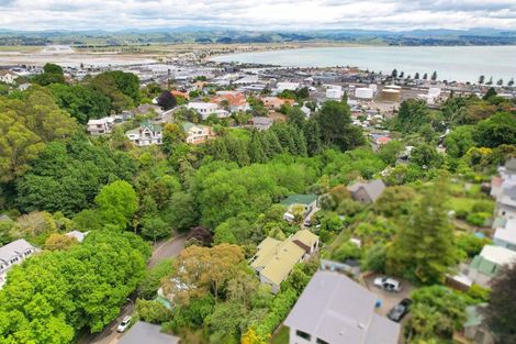 Photo of property in 21 Burns Road, Hospital Hill, Napier, 4110