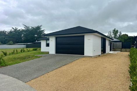 Photo of property in 14 Syrah Lane, Martinborough, 5711