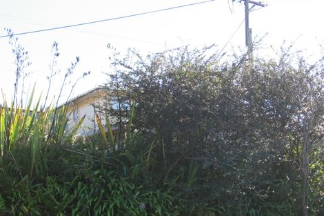 Photo of property in 67 Shetland Street, Glen Eden, Auckland, 0602