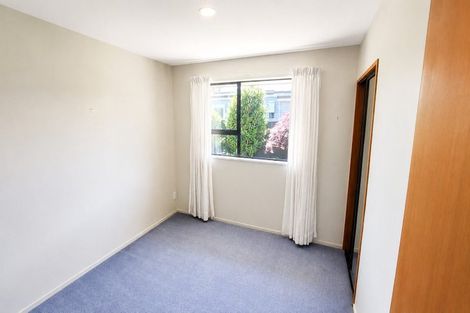 Photo of property in 20 Van Asch Street, Sumner, Christchurch, 8081