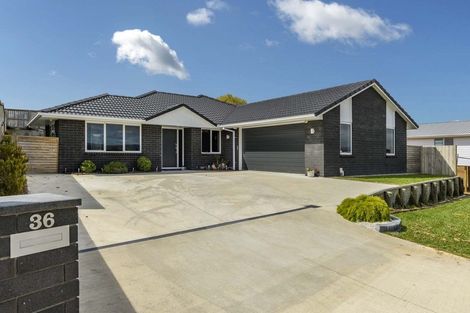 Photo of property in 36 Hastings Road, Pyes Pa, Tauranga, 3112