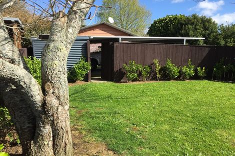 Photo of property in 12 Albert Street, Pukekohe, 2120