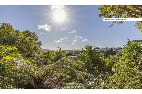 Photo of property in 133 Ironside Road, Johnsonville, Wellington, 6037