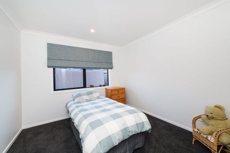 Photo of property in 5 Monarch Drive, Ashhurst, 4810