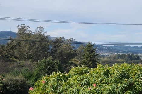 Photo of property in 273 Helensburgh Road, Helensburgh, Dunedin, 9010