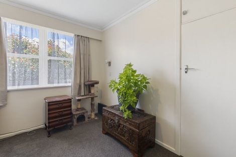 Photo of property in 17 Marlborough Street, Levin, 5510