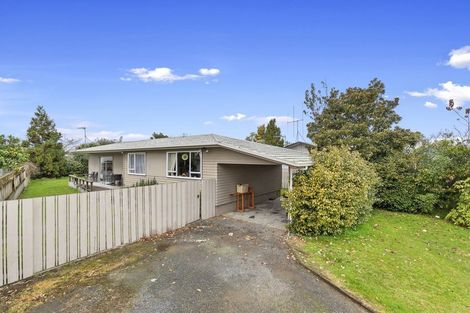 Photo of property in 22 Bellmont Avenue, Chartwell, Hamilton, 3210