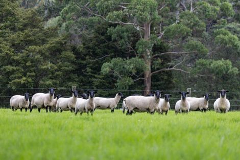 Photo of property in 23 Rosemount Road, Matakana, Warkworth, 0985