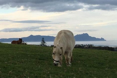 Photo of property in 25 Seamore Rise, Waipu, 0582