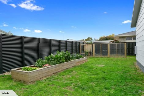 Photo of property in 37 Tennyson Street, Leamington, Cambridge, 3432