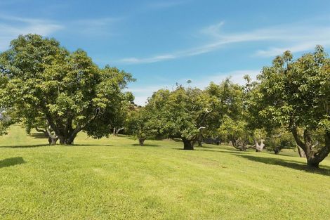 Photo of property in 248 Pyes Pa Road, Pyes Pa, 3173