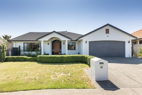Photo of property in 41 Russell Robertson Drive, Havelock North, 4130