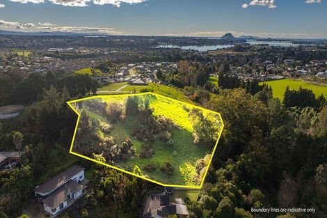 Photo of property in 99 Carmen Way, Ohauiti, 3112