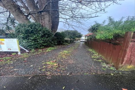 Photo of property in 20 Te Aroha Street, Hamilton East, Hamilton, 3216