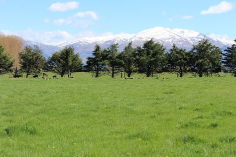 Photo of property in 40 Clayton Road, Fairlie, 7987