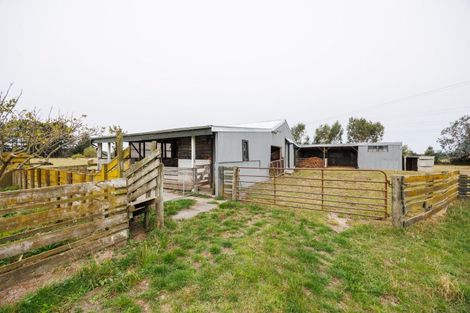 Photo of property in 232 Nannestads Line, Bunnythorpe, Feilding, 4775