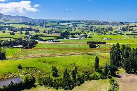 Photo of property in 36 Seddon Street, Ward, Seddon, 7285