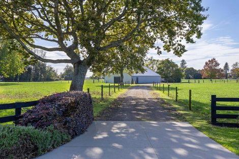 Photo of property in 16 Mill Road, Ohaupo, 3881