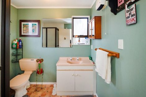 Photo of property in 22 Wills Crescent, Ashhurst, 4810