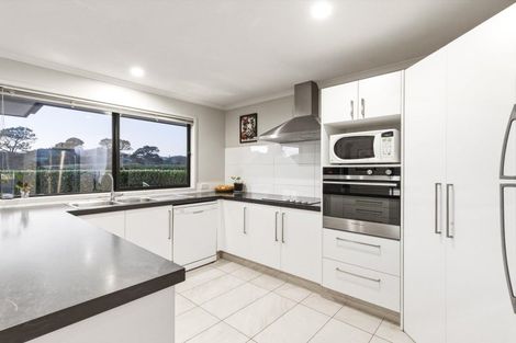 Photo of property in 264 Mcphail Road, Oropi, Tauranga, 3173