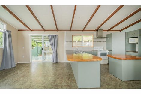 Photo of property in 101 Oakley Crescent, Thames, 3500