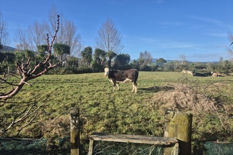 Photo of property in 4 Courthouse Lane, Coromandel, 3506