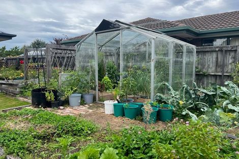 Photo of property in 15 Bunting Place, Woodend, 7610