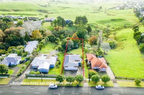 Photo of property in 153 Hokianga Road, Dargaville, 0310