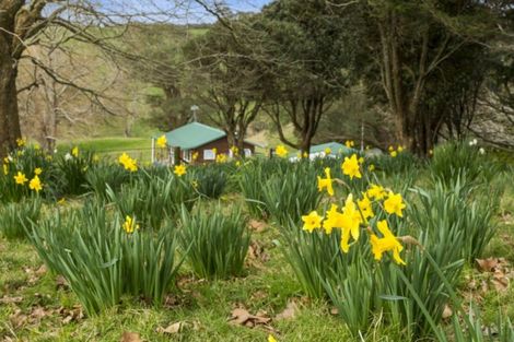Photo of property in 66 Stewart Street, Opotiki, 3122