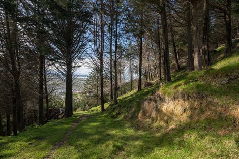 Photo of property in 14 Hillplough Heights, Richmond, 7020