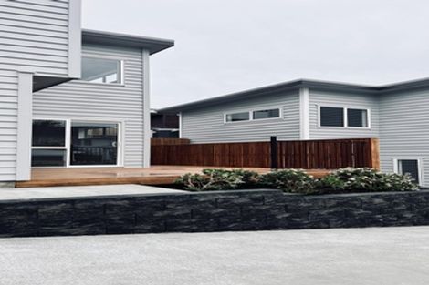 Photo of property in 36b Staveley Avenue, Mount Roskill, Auckland, 1041