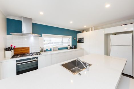 Photo of property in 51 Dahlia Street, Palmerston North, 4410