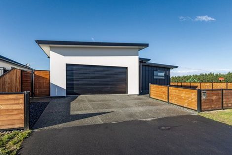 Photo of property in 45 Ashbury Drive, Tinwald, 7774