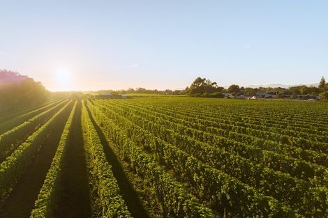 Photo of property in 5 Brook Street, Renwick, 7204