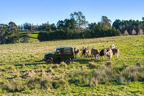 Photo of property in 197 Charles Road, Karaka, Papakura, 2580