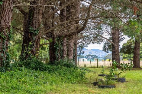 Photo of property in 80 Johnston Street, Featherston, 5710