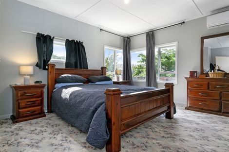 Photo of property in 14 Bledisloe Avenue, Putaruru, 3411