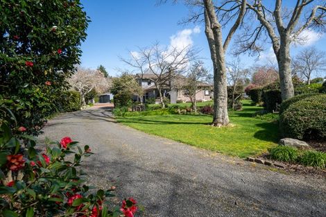 Photo of property in 347 Racecourse Road, Cambridge, 3493