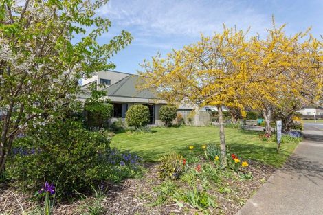 Photo of property in 24 Ruahine Street, Dannevirke, 4930