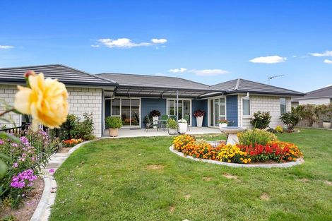 Photo of property in 16 Maple Place, Matamata, 3400