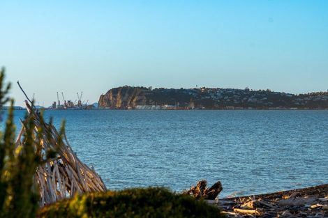 Photo of property in 10 Mer Place, Bay View, Napier, 4104