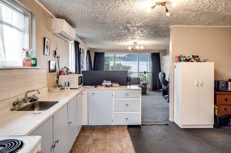 Photo of property in 1/7 Donegal Street, Belfast, Christchurch, 8051