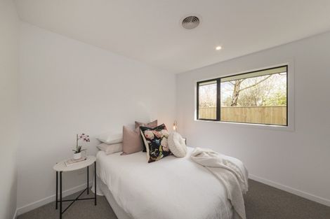 Photo of property in 196b North Street, Feilding, 4702