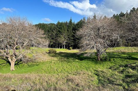 Photo of property in 171 Arcadia Road, Paparoa, 0571