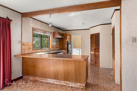 Photo of property in 55 Gorge Road, Maungaturoto, 0520