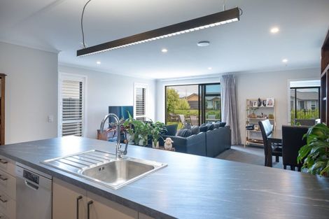 Photo of property in 16 Kahikatea Way, Appleby, Richmond, 7020