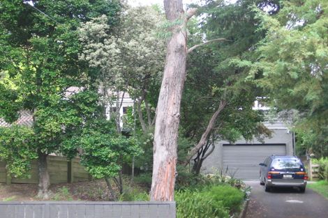 Photo of property in 54 Atkinson Road, Titirangi, Auckland, 0604